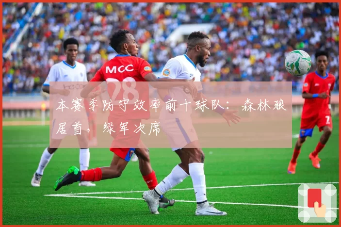 本赛季防守效率前十球队:森林狼居首,绿军次席