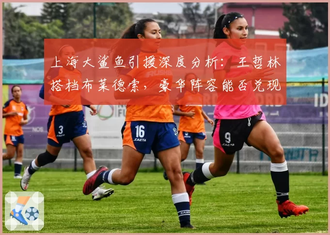 上海大鲨鱼引援深度分析:王哲林搭档布莱德索,豪华阵容能否兑现天赋