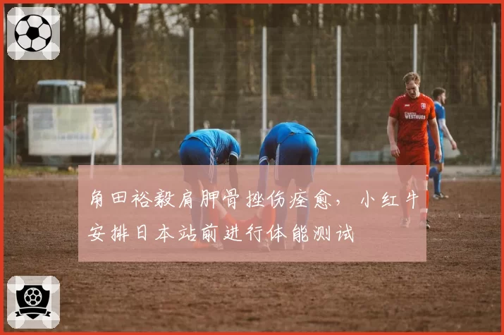 角田裕毅肩胛骨挫伤痊愈，小红牛安排日本站前进行体能测试