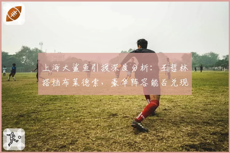 上海大鲨鱼引援深度分析:王哲林搭档布莱德索,豪华阵容能否兑现天赋