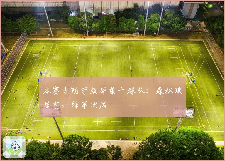 本赛季防守效率前十球队:森林狼居首,绿军次席